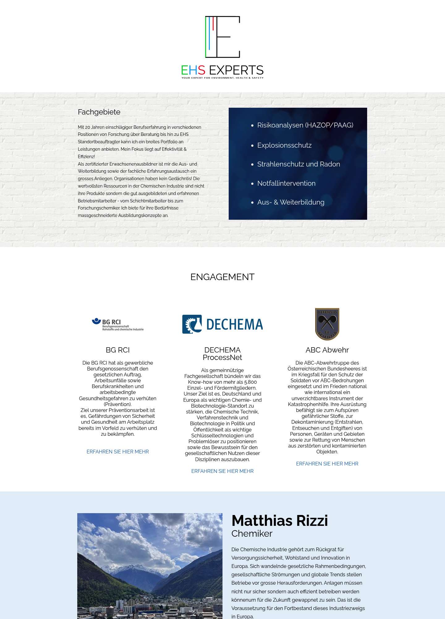 Current EHS Experts website — before