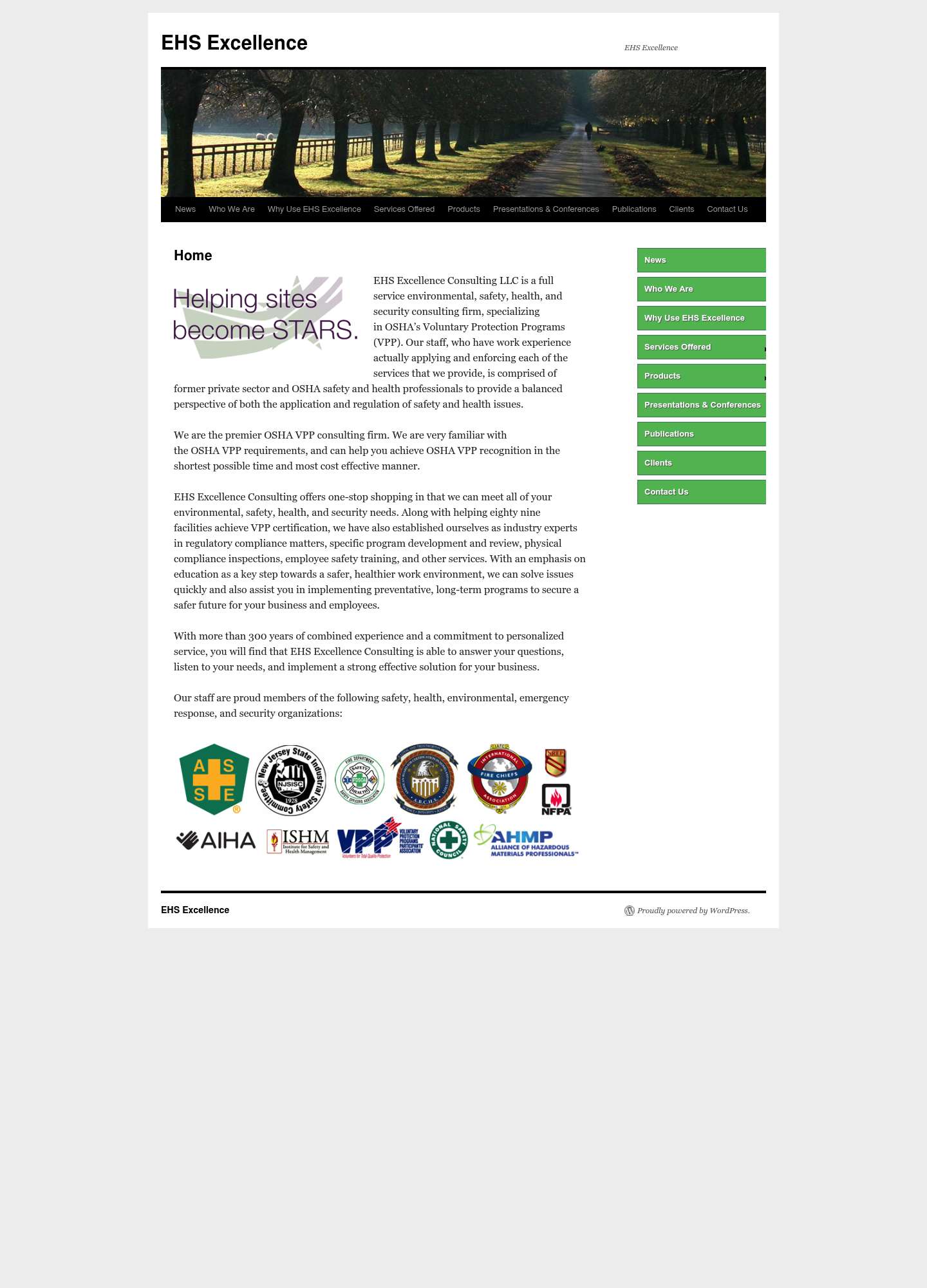 Current EHS Excellence Consulting website — before
